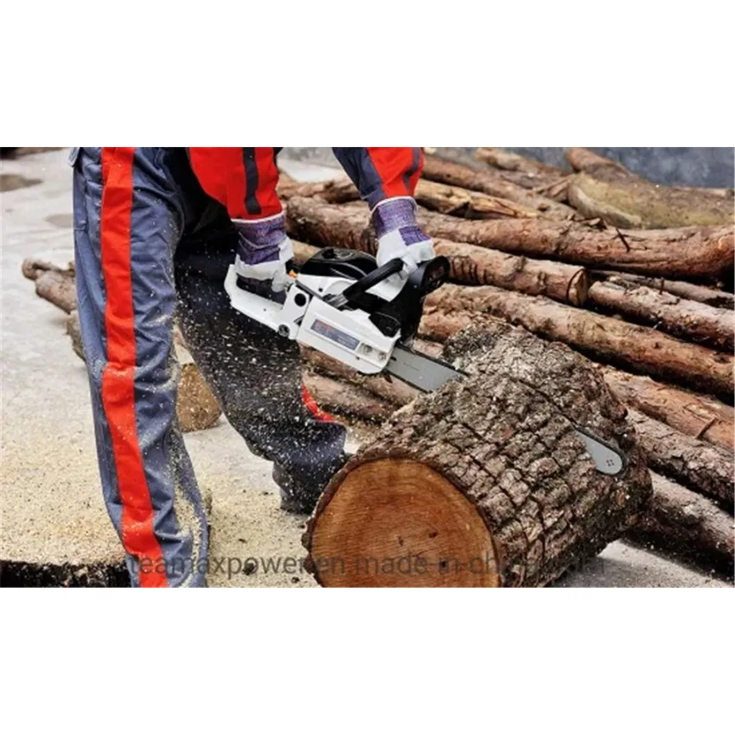 High Quality 55cc Chain Saw with 16in Chain and Bar TM-CS5800