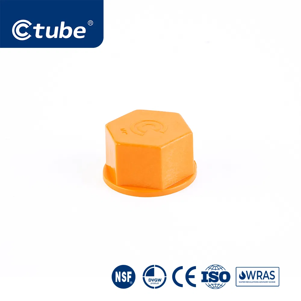 Ctube PPR Female Threaded Cap Chemical Resistant Pipe Fitting Solution