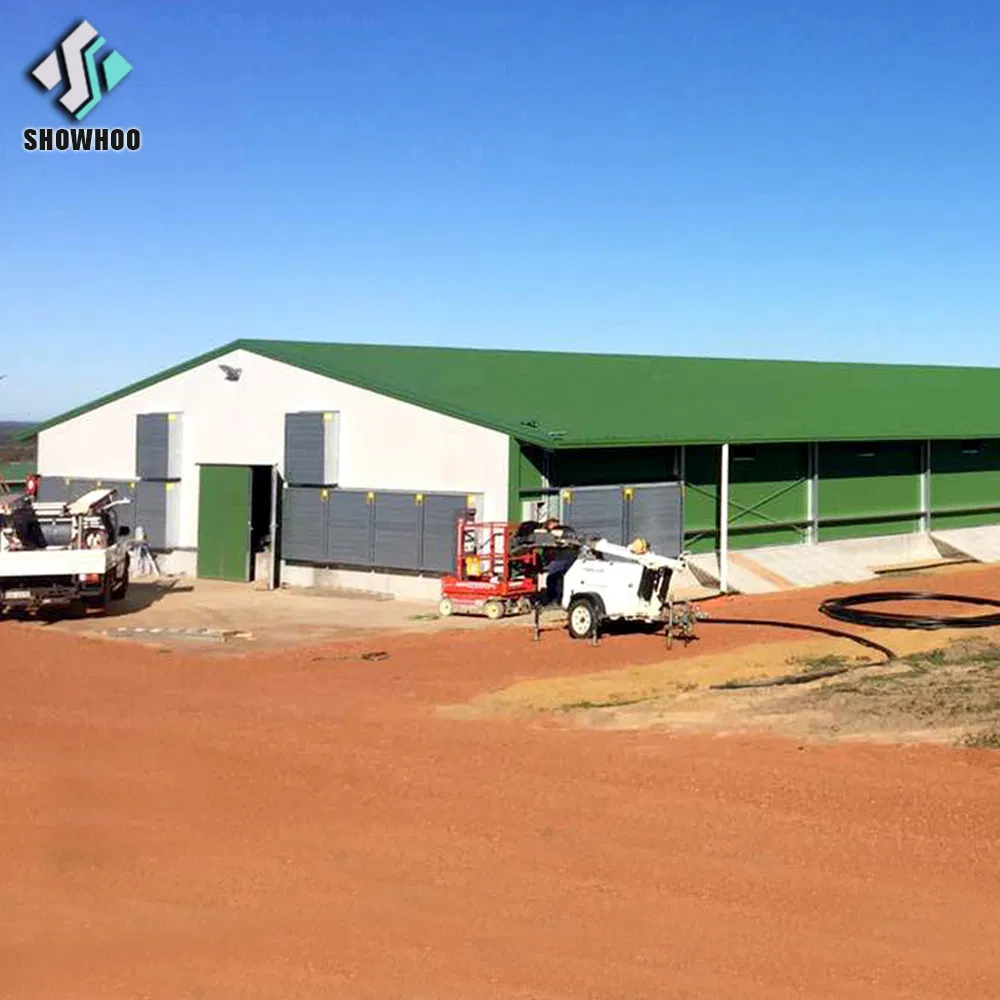 Architectural Design Poultry Farm Chicken Coop Shed for Chicken House