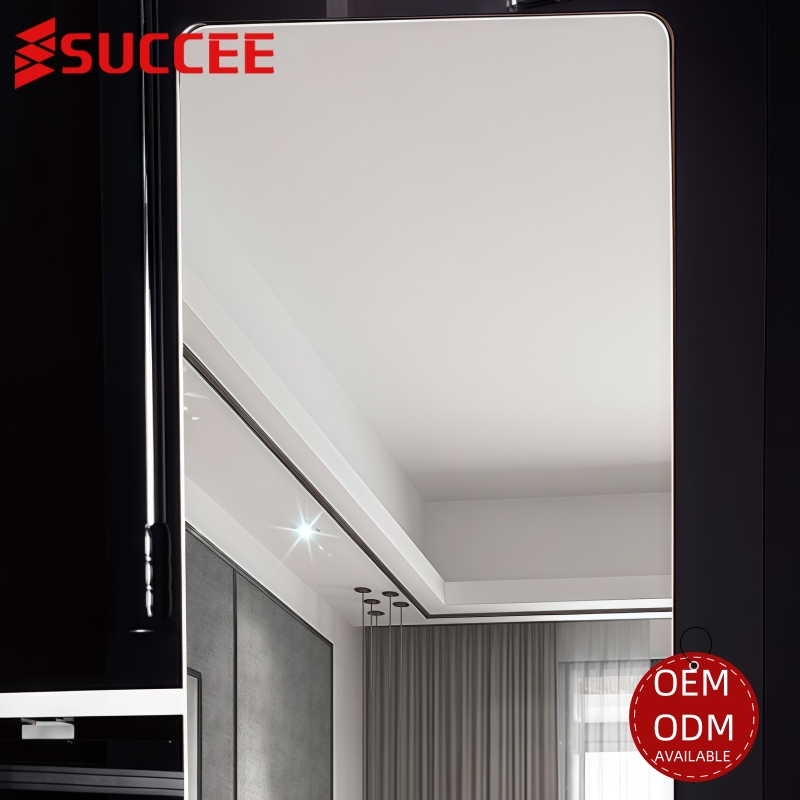 Insert Pull-out Sliding Wardrobe Full-Length Revolve Mirror
