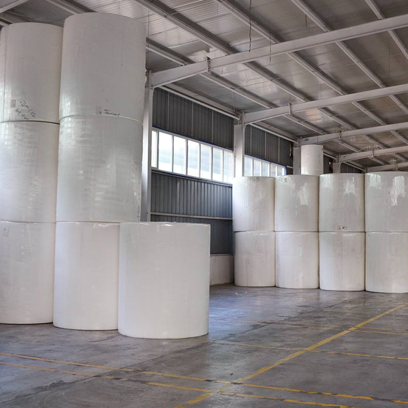 Wholesale Tissue Mother Roll/Parent Roll/Jumbo Roll for Making Toilet Paper