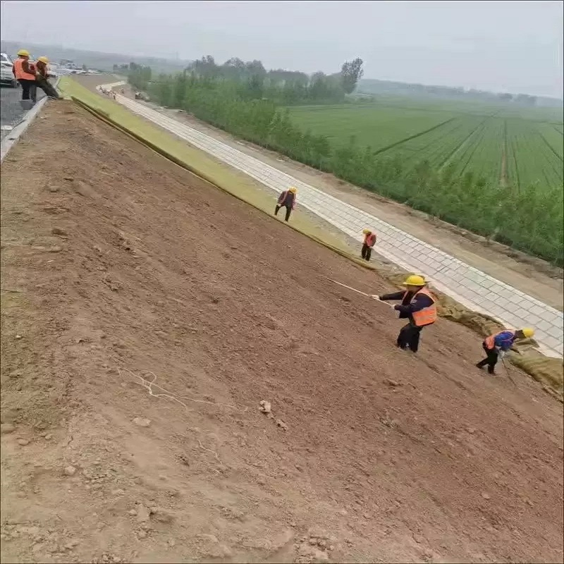Ecological Coconut Fiber Blanket Stabilizes Slope/Greening Protection/Reclamation Flood/Prevention Plant Mat