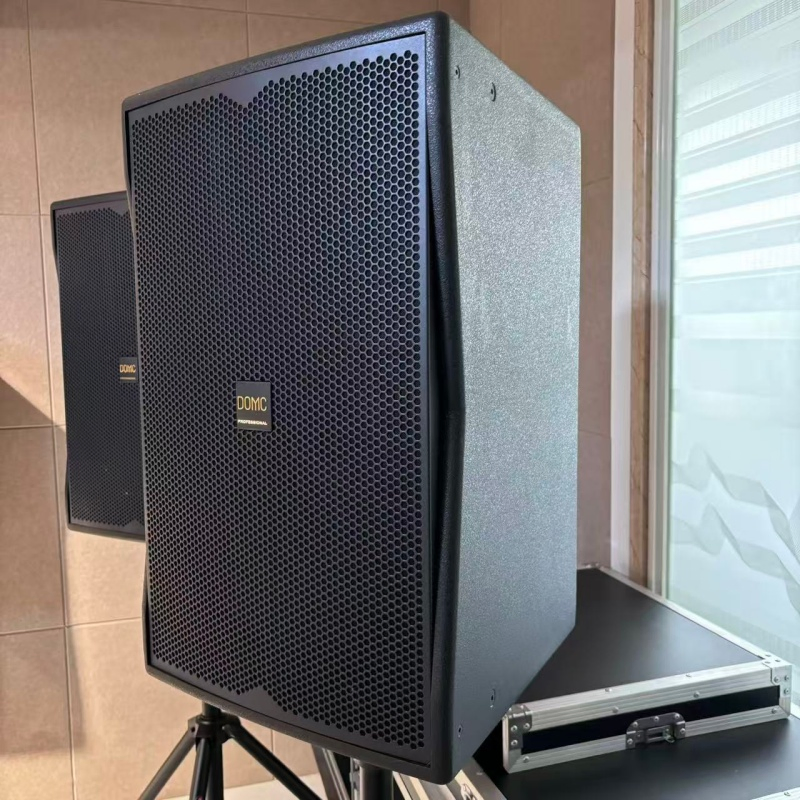 Domc K215 15-Inch Speaker with High Sensitivity and Frequency Range