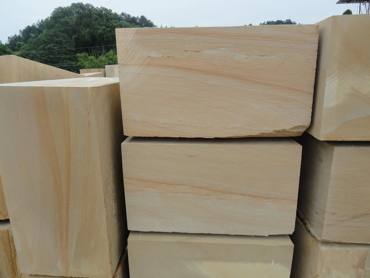 Yellow Teakwood Sandstone Slabs Pool Coping Paving Flooring/Walling Stone Tiles