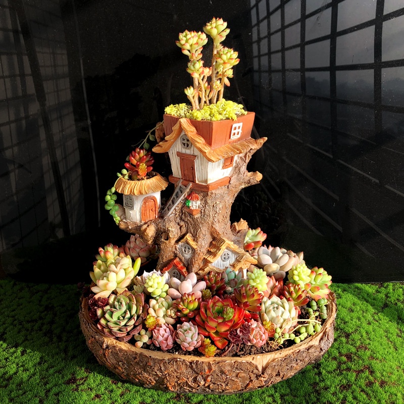 Кашпо смола для цветов суккулентов