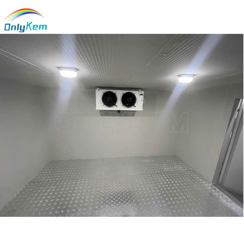 ONLYKEM Freezer Room Cold Storage 4'' 6'' PU PIR Cold Room Panel