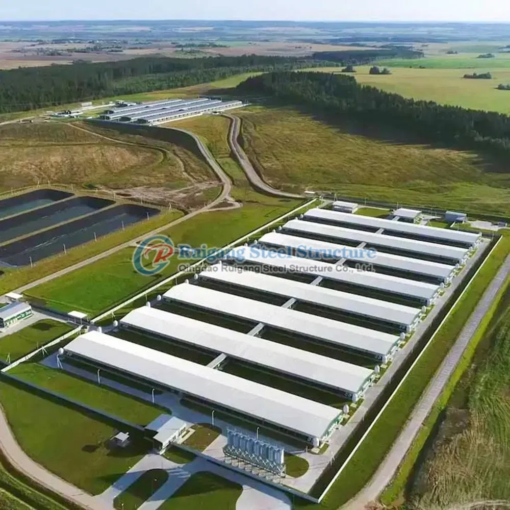 China Design Low Cost Prefabricated Steel Cow / Cattle / Sheep / Chicken Farm Building / House / Barn / Byre