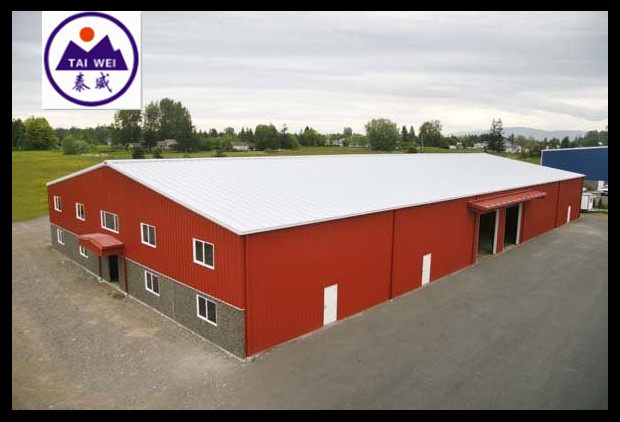 Customized Prefabricated Steel Frame Construction Workshop (TW999J)