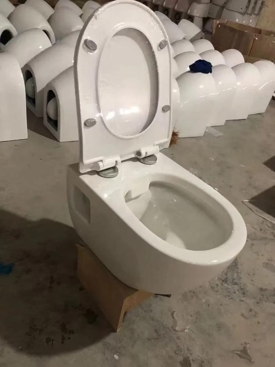 Premium Multi-Color Stain-Resistant Glaze Ceramic Sanitary Ware for Washroom