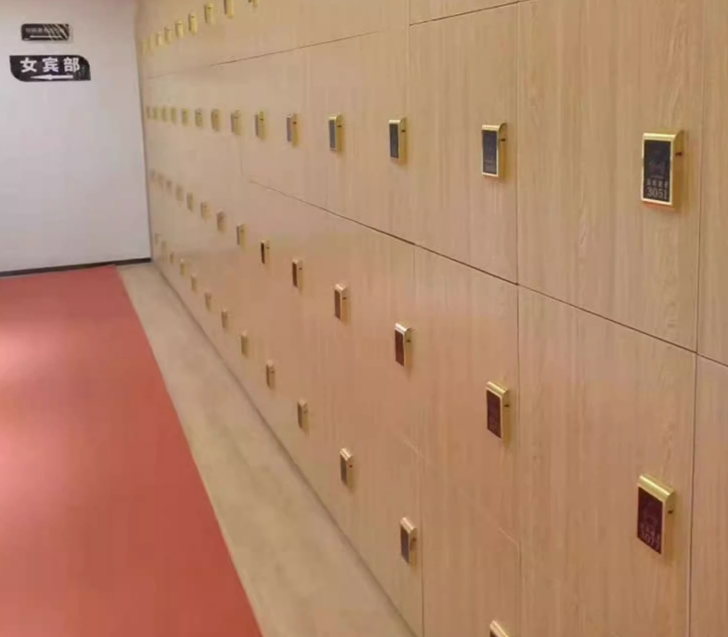 Smart Cabinet Lock RFID Electronic Keyless 125kHz RFID Drawer Locker Cabinet Lock