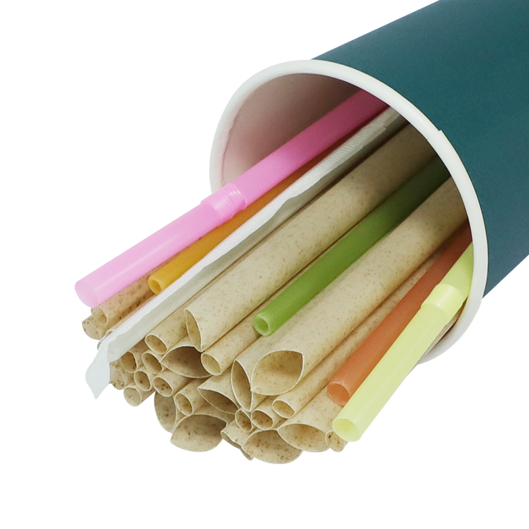 Eco-Friendly Biodegradable Compostable Sugarcane Bagasse Disposable Drinking Straw for Camping