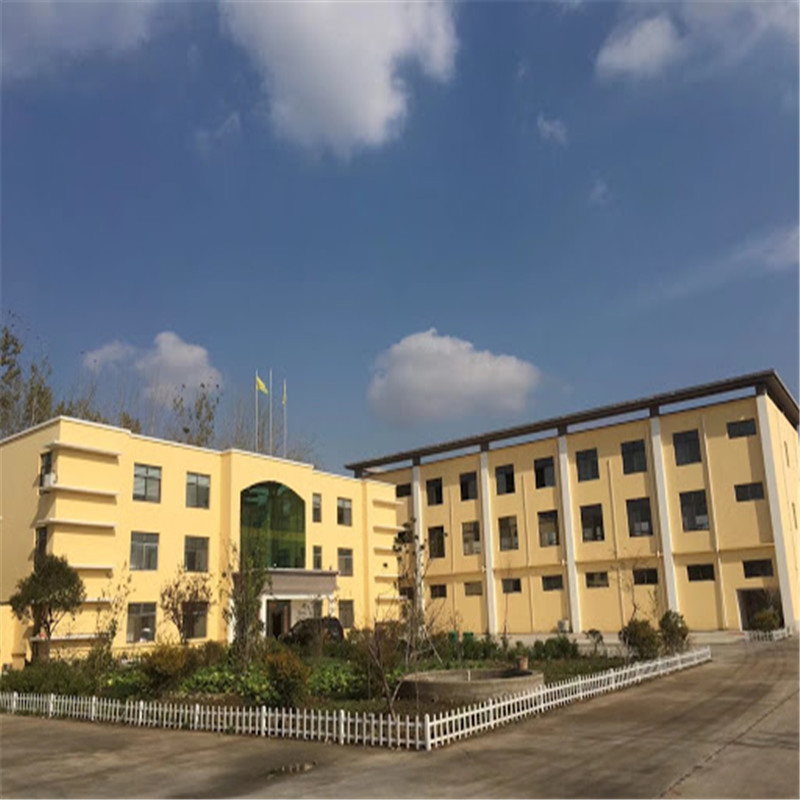 Steel Beam and Steel Column Office Building