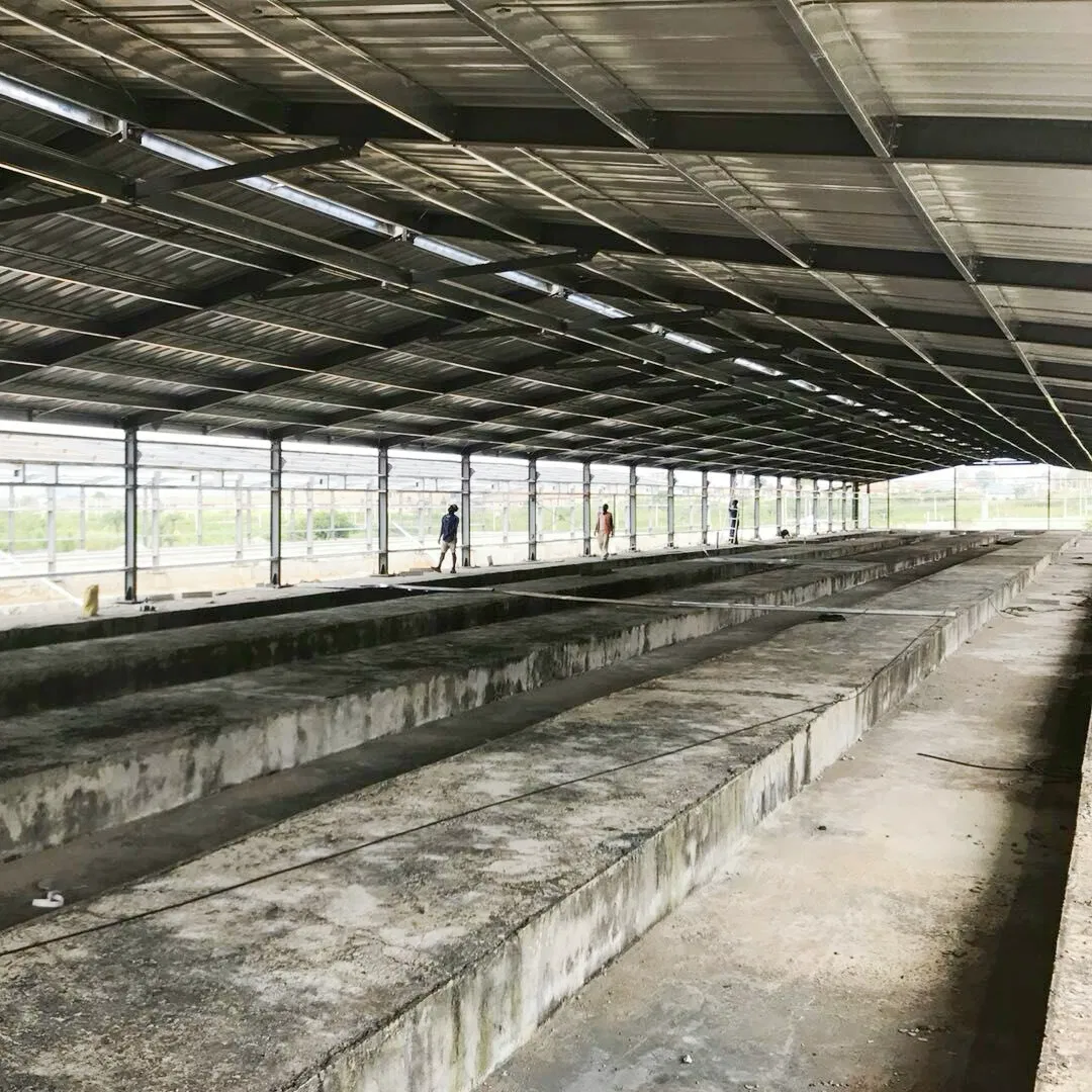 Nigeria Steel Structure Poultry Farm Building Modular Prefabricated/Prefab Chicken House