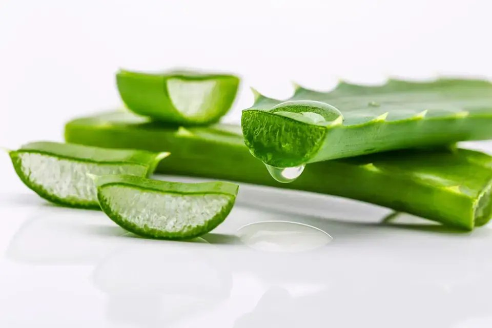 99% Aloe Vera Moisture Hydrating Soothing Gel 300g