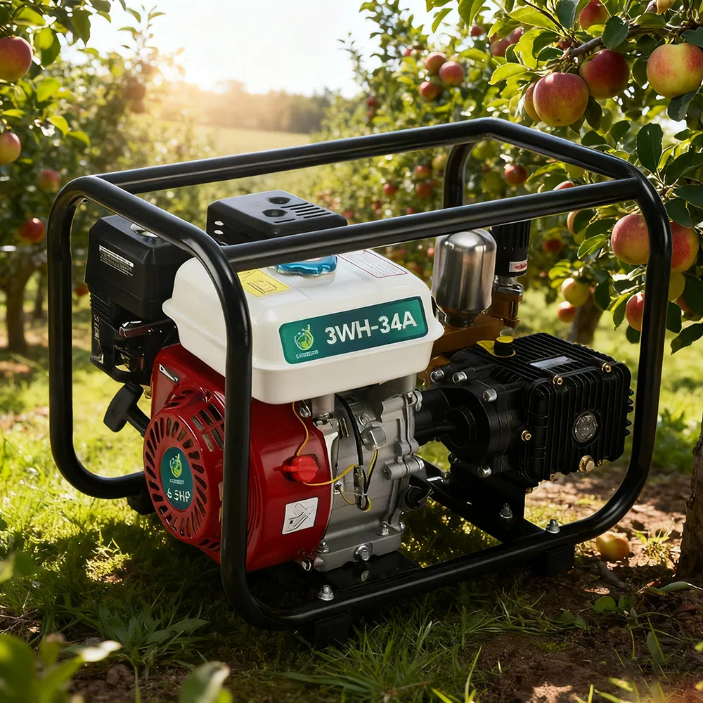 Agricultural Sprayer Trolley Type Gasoline Engine Sprayer Gasoline Power Sprayer for Sale