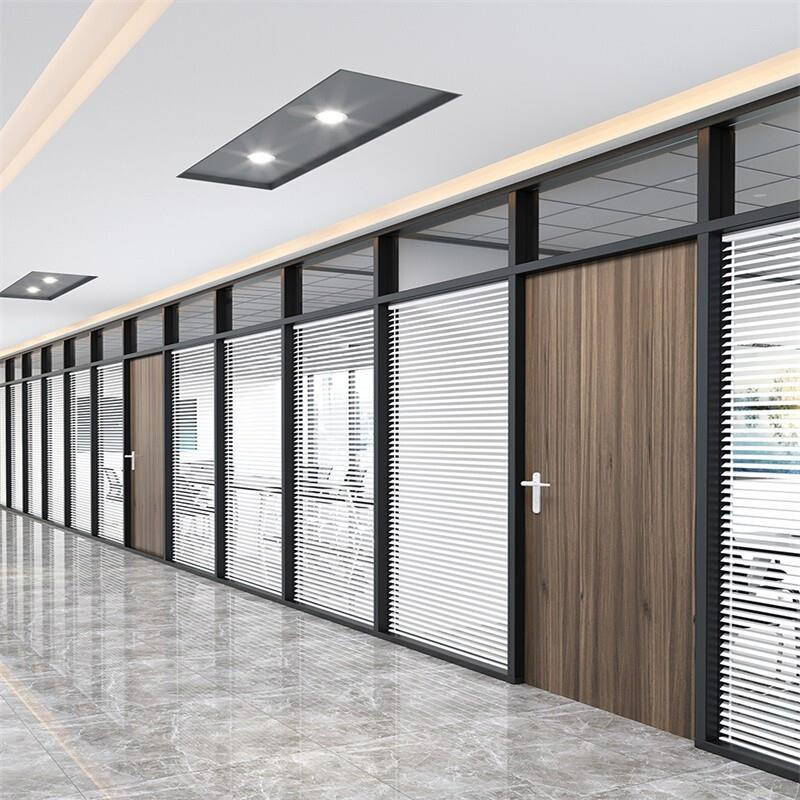 Glass Partition with Alumin Frame and Powder Coated Surface