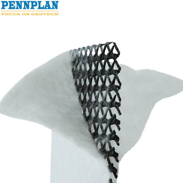 High Strength 3D Composite Drainage Geo Net Composite Dewatering Net