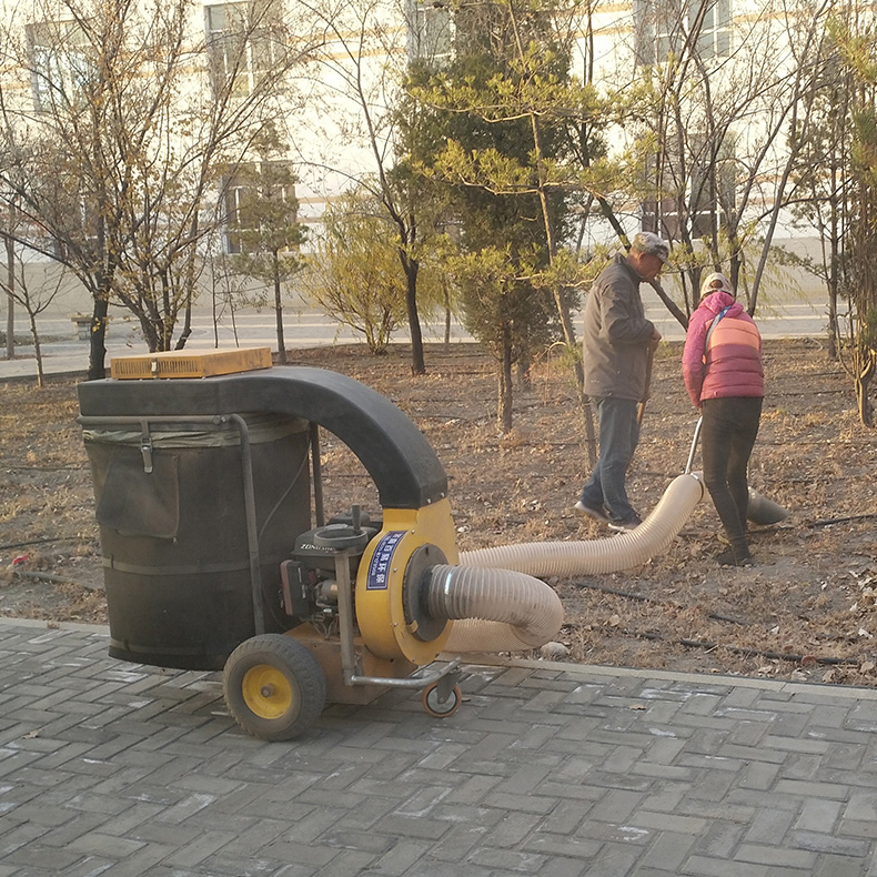 Small Hand Push Style Gasoline Outdoor Road Park Leaf Garbage Collector Leaf Collection Machine