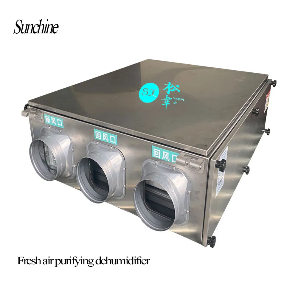 China Supplier Commercial Air-Cooled Duct Industrial Fresh Air Dehumidifier Ceiling Type