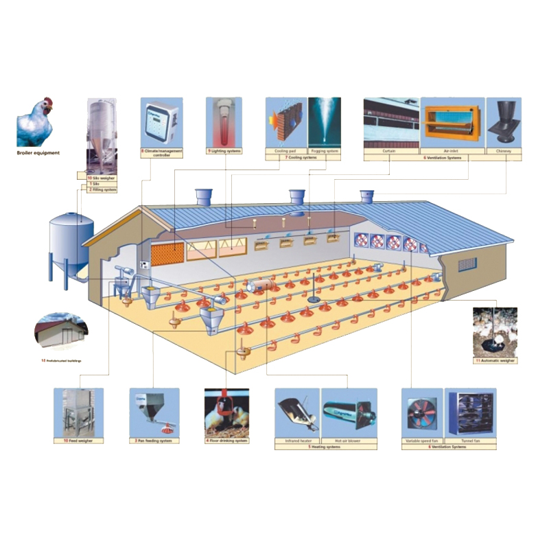 Prefabricated Quick Install Light Metal Frame Structure Design Automatic Construction Chicken Coop Broilers Layers House Poultry Farm Shed