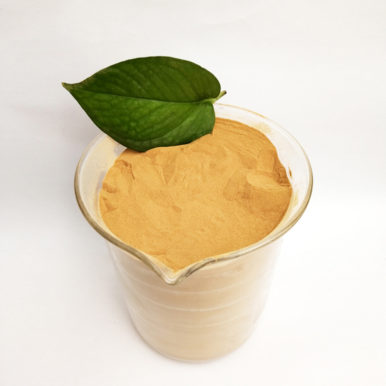 Factory Direct Sales High-Efficiency Water-Reducing Sodium Naphthalene Sulfonate Superplasticizer for Concrete