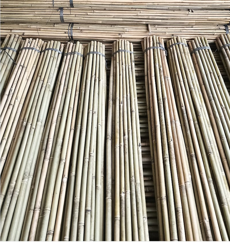Bamboo Pole Bulk Supplier/Bamboo Plant Support