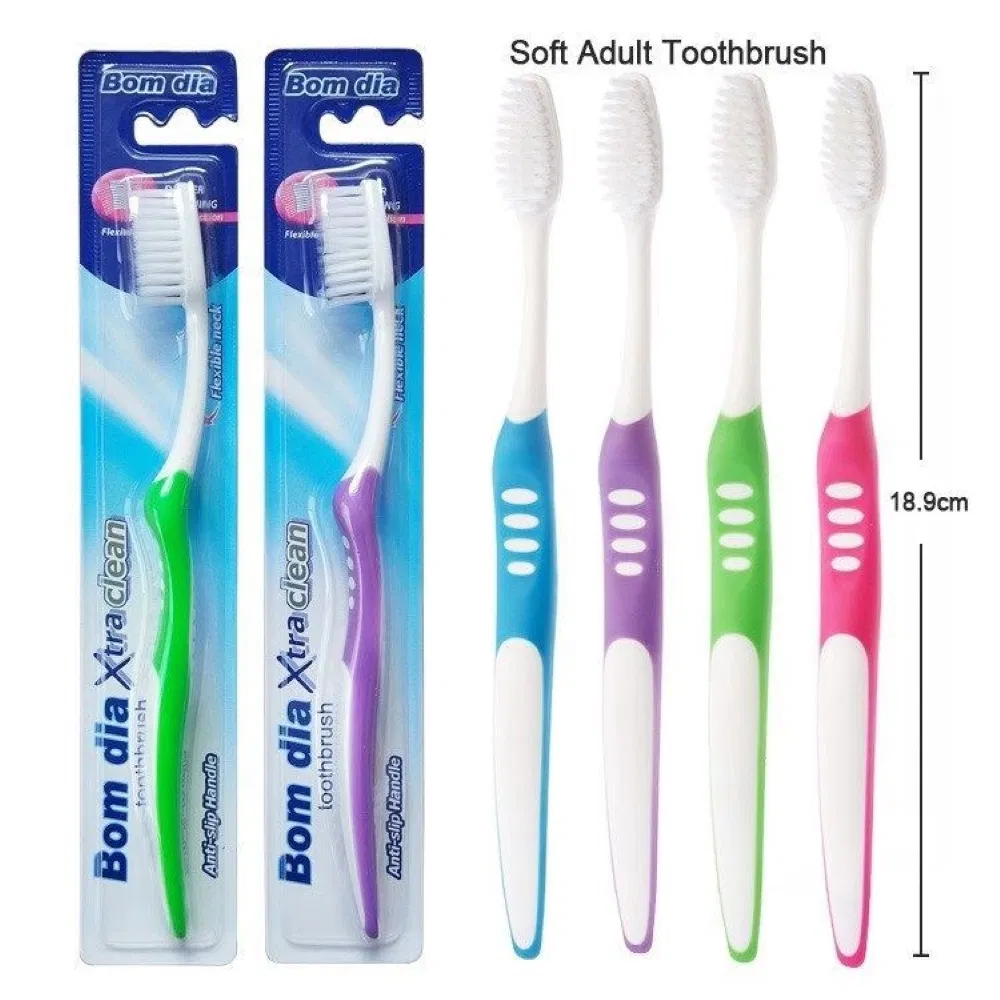 Daily Toothbrush for Teeth Cleaning with Good Package