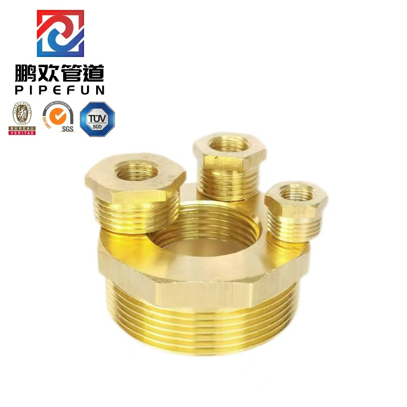 Brass Steel Alloy Steel Pipe Fitting Bushing