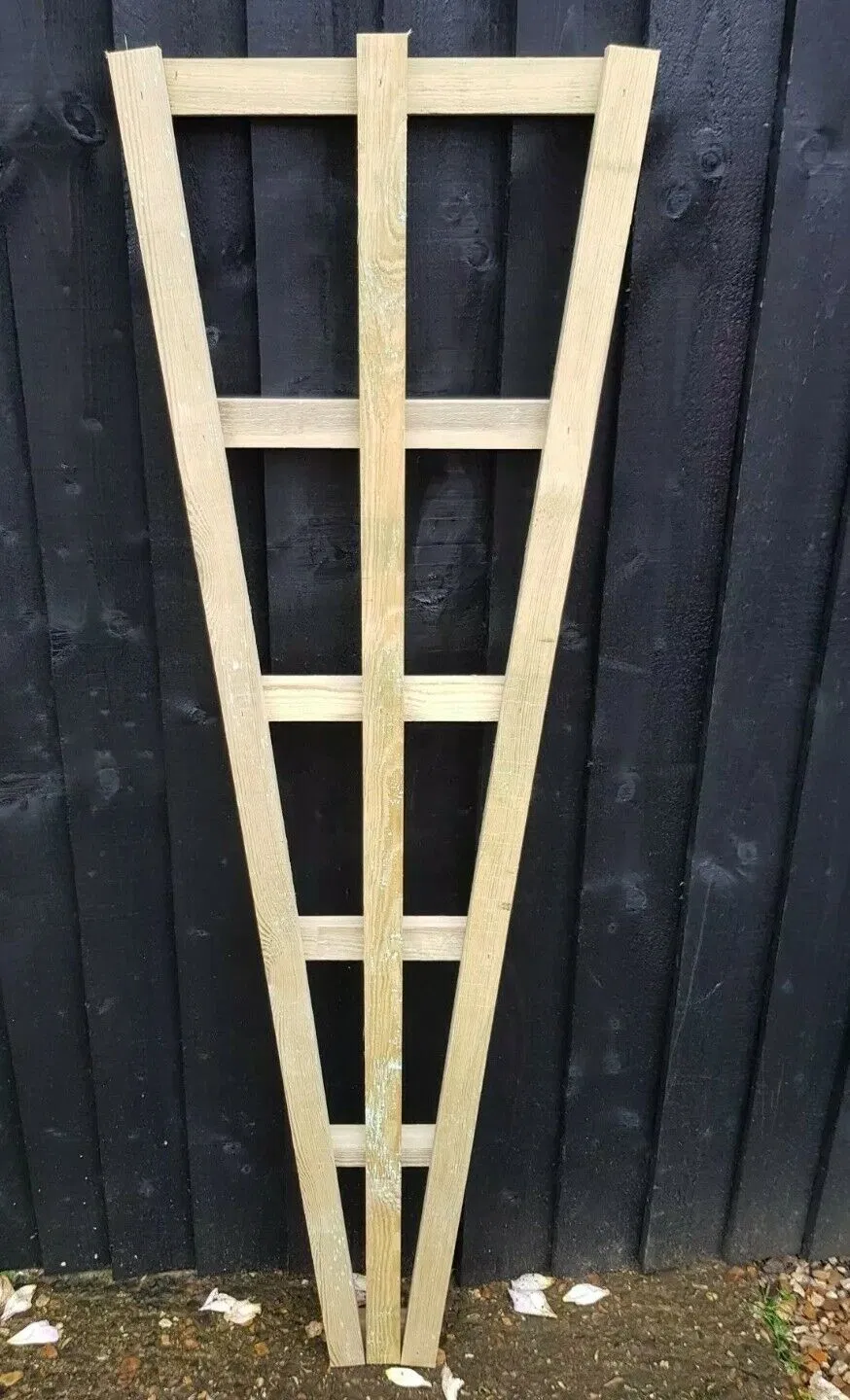 Fan Trellis Garden Treated Timber Plant Support 4FT X 1FT