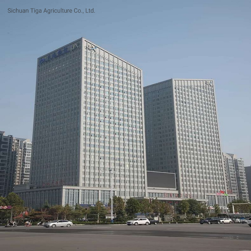 EPC High Strength and Seismic Resistance Fast Installation Prefabricated Textile Mall