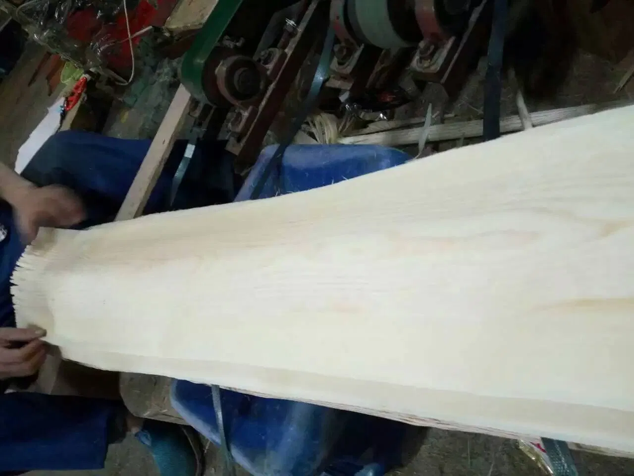 Slicer Fancy Ash Veneer in 0.50mm From Factory