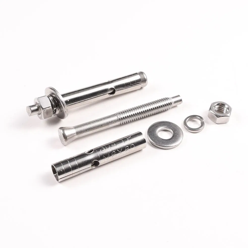 Customizable M10m12m16m20 Wedge Anchor Expansion Bolt Stainless Steel Plain Finish