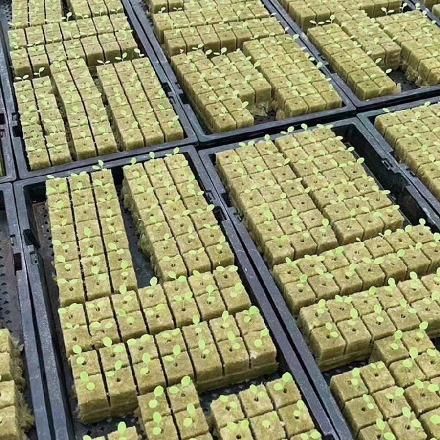 Hydroponic Grow Block Rock Wool Cubes with Mineral Wool for Seedlings Lettuce