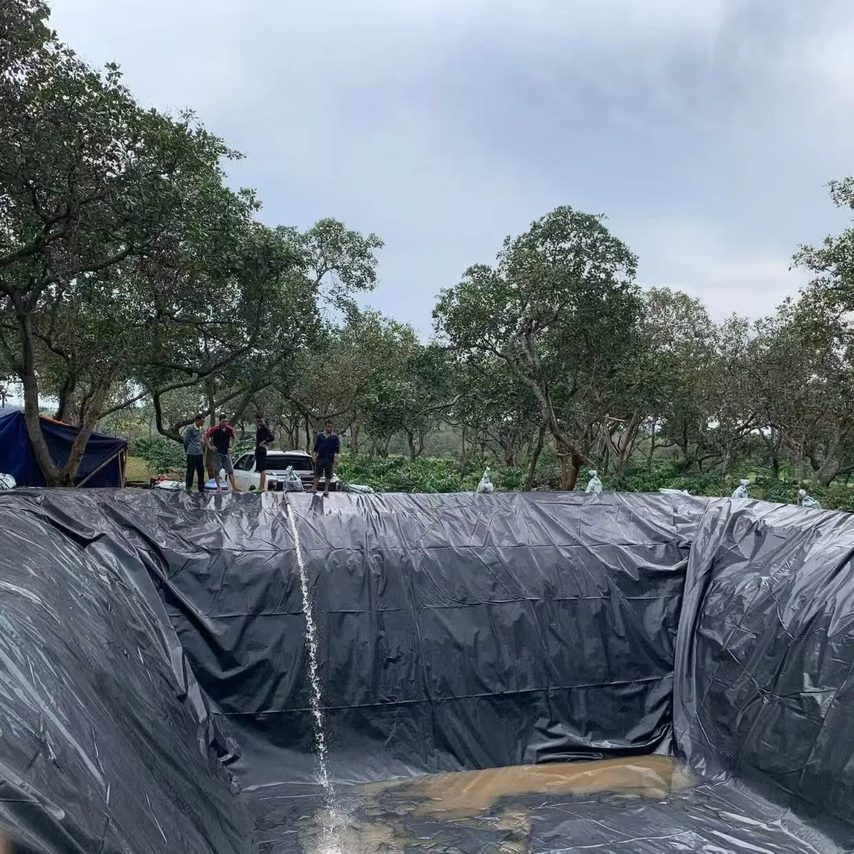 Pool Liner HDPE Geomembrane Anti-Seepage Membrane Sheet 1.5mm 2mm 3mm Dam Reservoir River Aquaculture Pond Liner