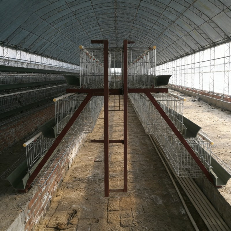 Custom-Sized Light-Transmitting Anti-Corrosion Livestock Steel Cattle Sheds, Chicken Coops & Horse Stables