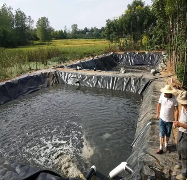 Waterproof Geomembrane Fish Pool HDPE Anti Water Roll
