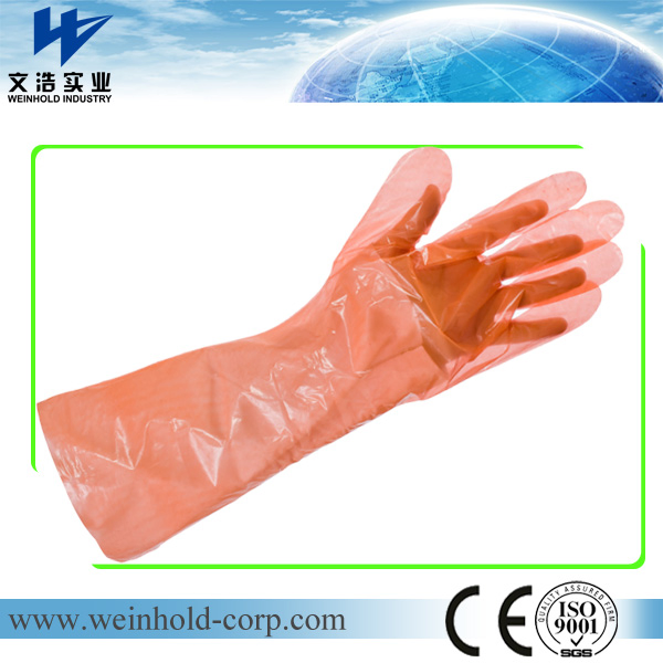 Disposable Elbow Length Gauntlet for Veterinary Use