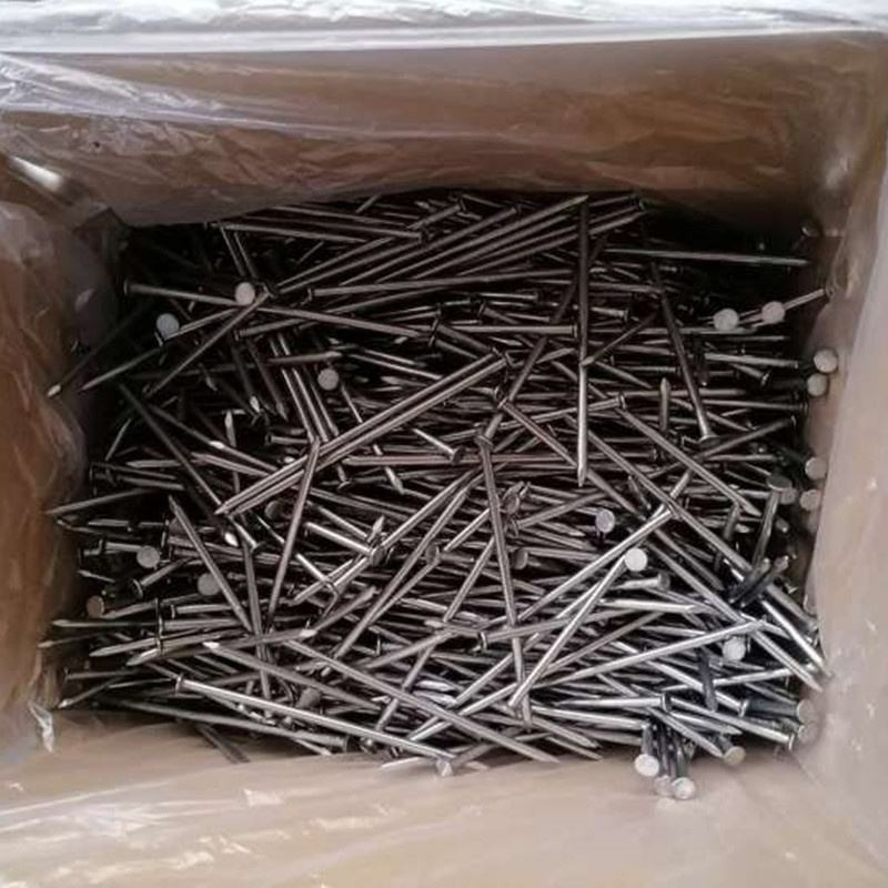 Factory Direct Clavo Common Wire Nails for Building Iron Common Nails
