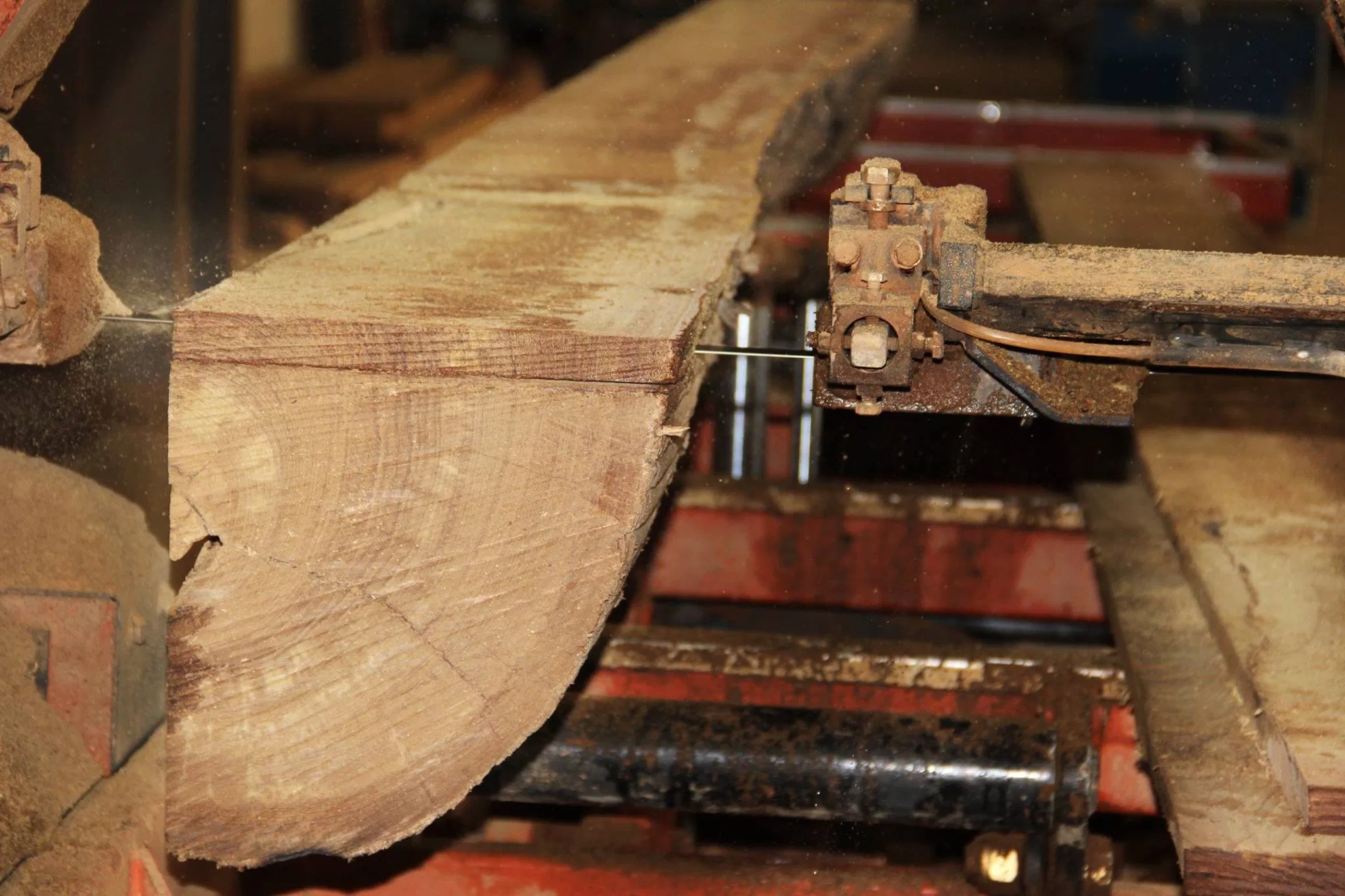 Buy Teak Wood in China