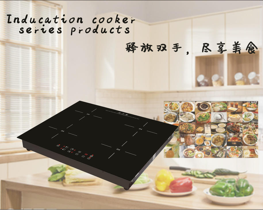 Electric Cooker Infrared Induction 2200W Induction Cooker Fire Induction Stove
