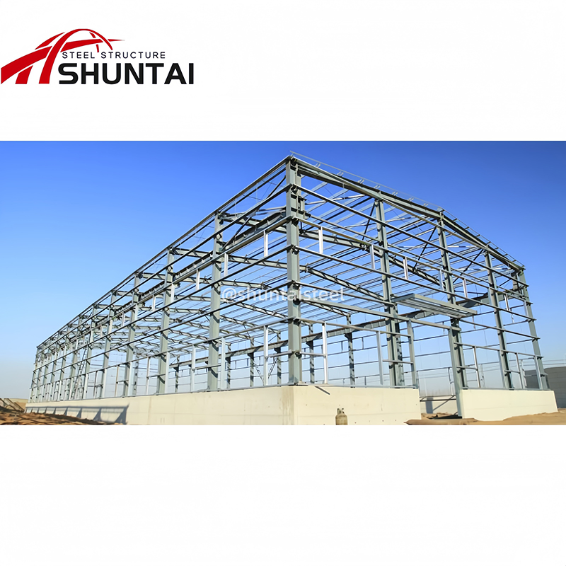 Height 12m Light Steel Prefabricated Shed Building Metal Factory Large Workshop Steel Frame Steel Structure Warehouse