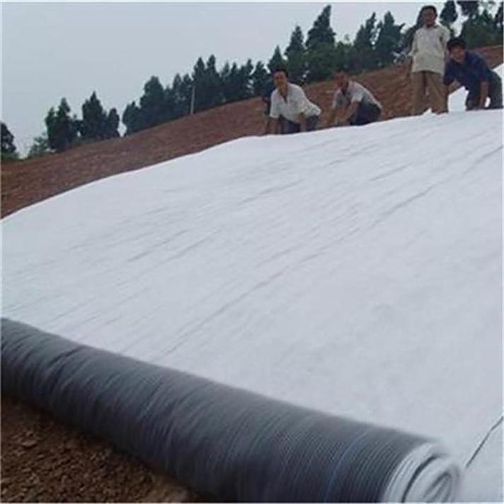 4000g/Sqm Bentonite Reinforced Geosynthetic Clay Liner Gcl for Waterproof Projects