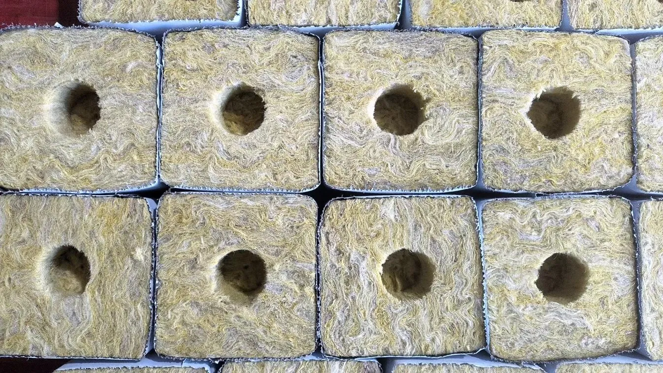 2025 New Seeds Growing Hydroponic Rock Wool Plant Cubes with 2 Holes