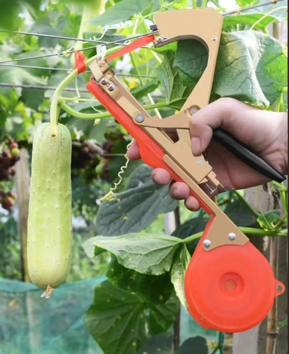 Manual Strapping Machine Grape Vine Strapping Tool