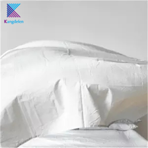 Modern Printed Pillowcase and Duvet Cover Sets Quilt with High Quality