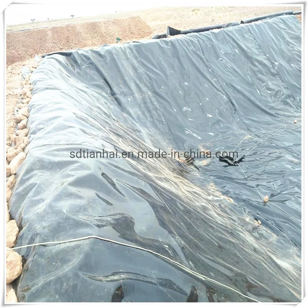 0.5mm HDPE Liner/Pond Liner for Shrimp Farming