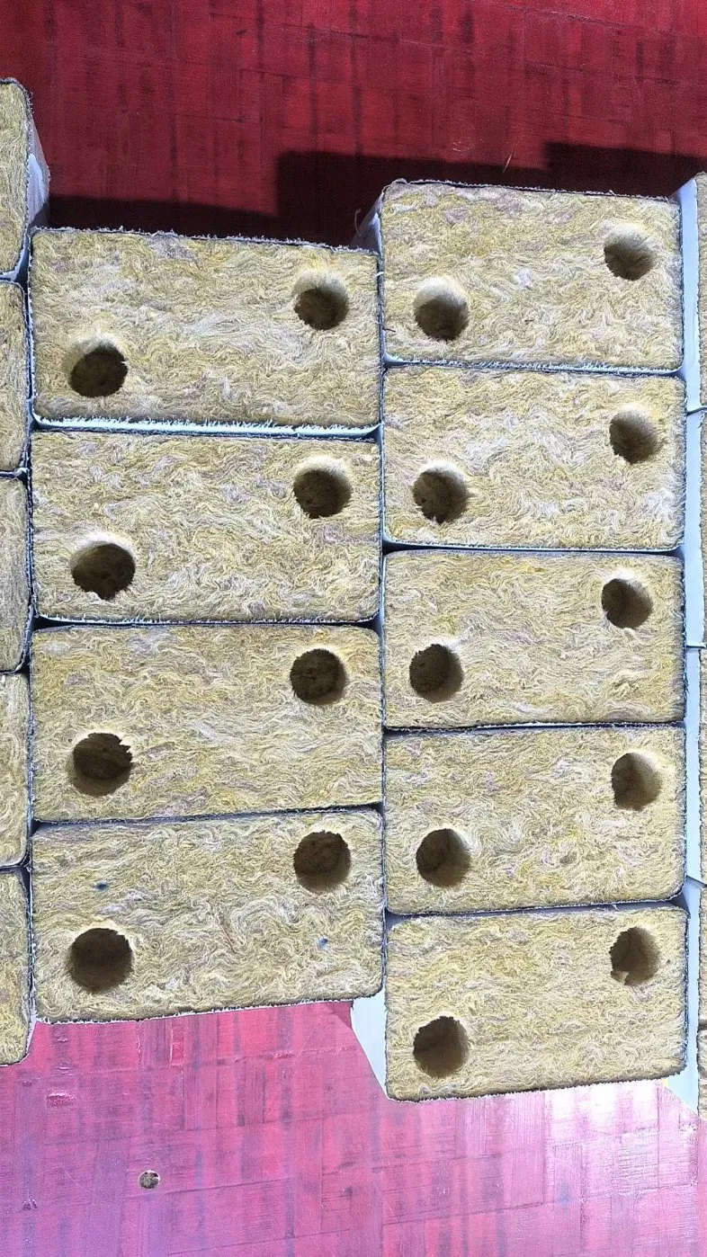 2025 New Seeds Growing Hydroponic Rock Wool Plant Cubes with 2 Holes