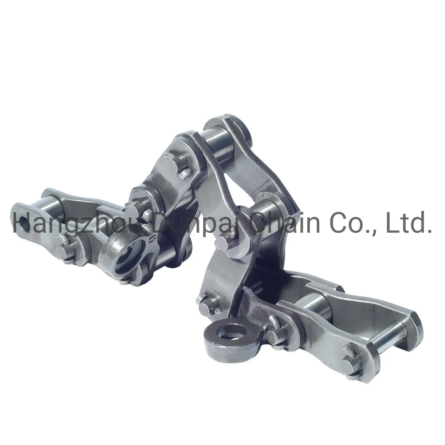 Stainless Steel Conveyor Roller Chain with Attachment