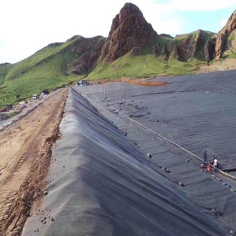 Plastic Film Liner 0.5mm/1mm/2mm HDPE/LDPE/LLDPE/PVC Geomembrane for Pood/Lake/River/Aquaculture/Dam/Landfill/Fish/Farming Tank Price