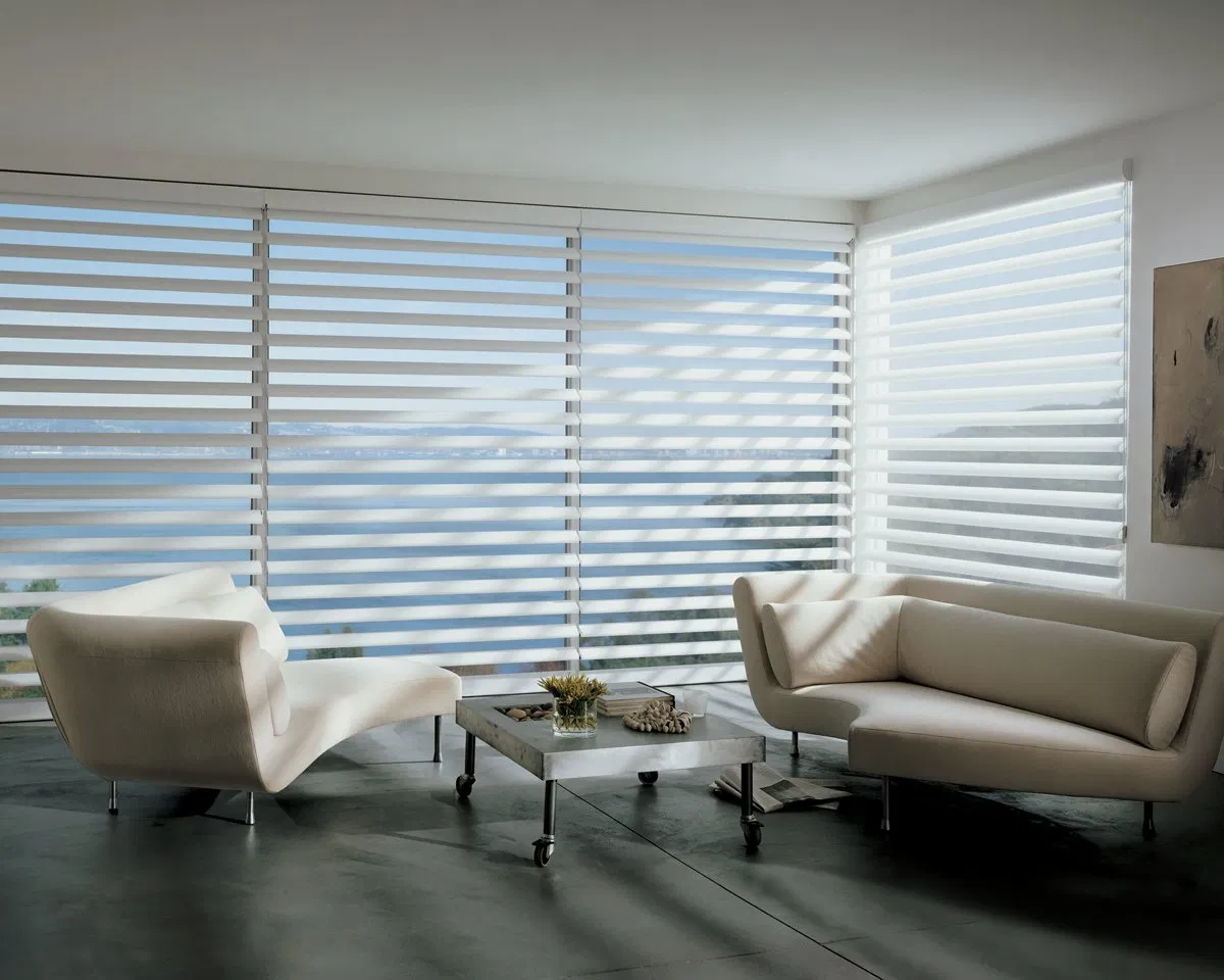 100% Polyester Fabric Manual Blackout Shade Roller Blinds Blackout Zebra Blinds